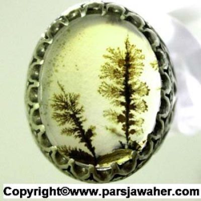 انگشتر عقیق شجر اصل با منظره دو درخت 702