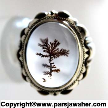 انگشتر مردانه شجر مقدمی 161