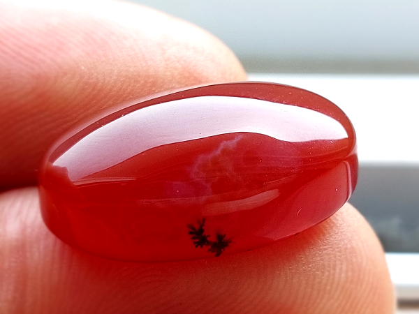 عقیق شجر آنسی یمن اصل n132_3 عقیق شجر آنسی یمن اصل n132_3