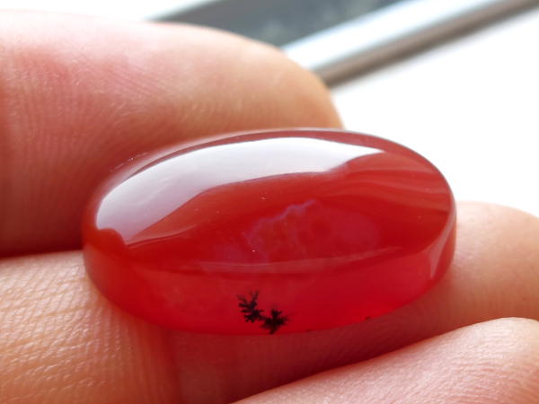 عقیق شجر آنسی یمن اصل n132_4 عقیق شجر آنسی یمن اصل n132_4