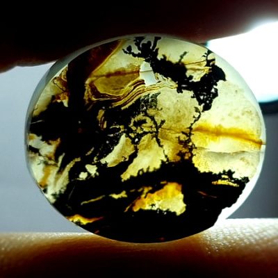 عقیق مصور یمنی اصل طبیعی با تصویر پرنده n129_1