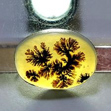 عقیق شجر اصل منظره درخت n131