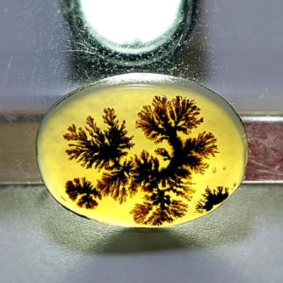 عقیق شجر اصل منظره درخت n131