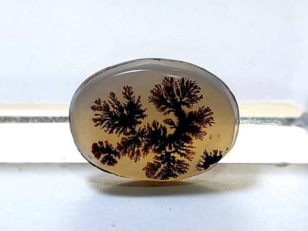 عقیق شجر اصل منظره درخت n131_1