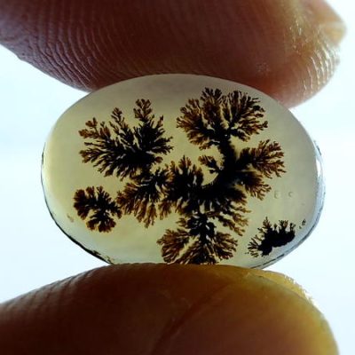 عقیق شجر اصل منظره درخت n131_2