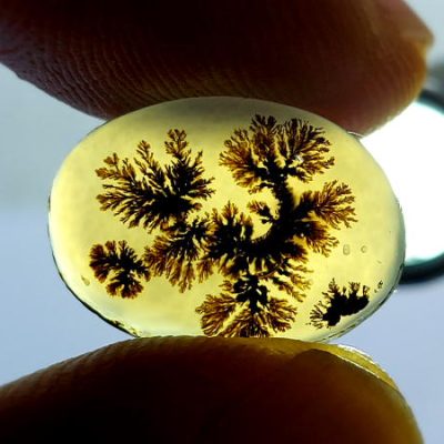 عقیق شجر اصل منظره درخت n131_3