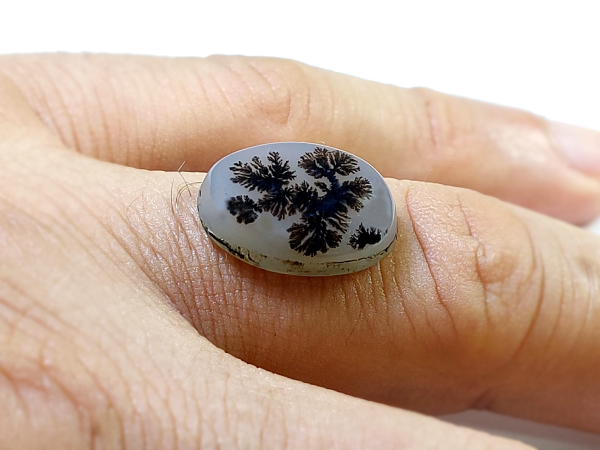 عقیق شجر اصل منظره درخت n131_4