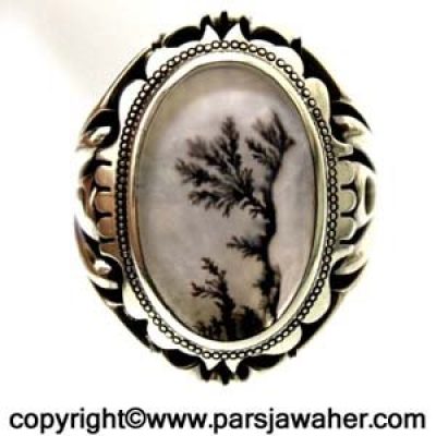 عقیق شجر اصل 704