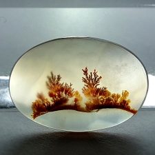 سنگ عقیق شجر اصل درختی به رنگ سرخ و قهوه‌ای