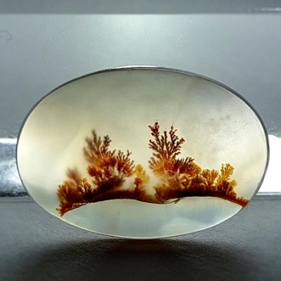 سنگ عقیق شجر اصل درختی به رنگ سرخ و قهوه‌ای