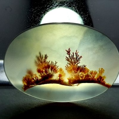 سنگ عقیق شجر اصل درختی به رنگ سرخ و قهوه‌ای 1