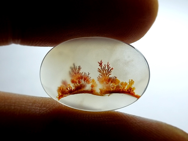 سنگ عقیق شجر اصل درختی به رنگ سرخ و قهوه‌ای 3